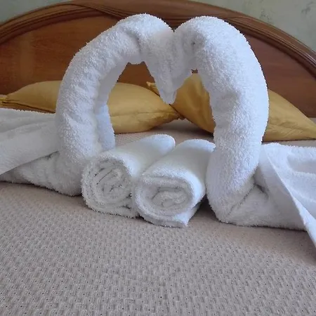 Una Conchiglia Nel Blu